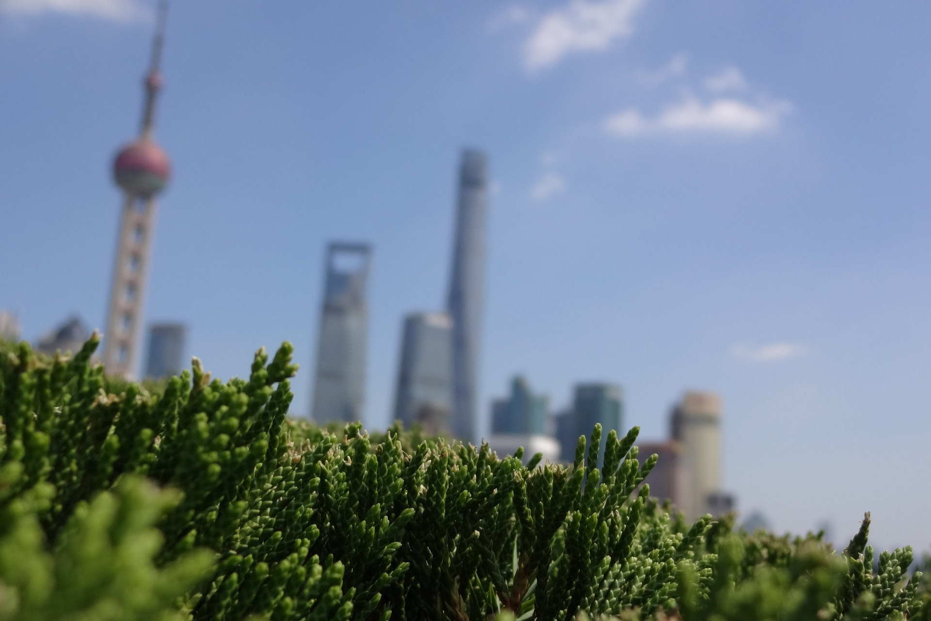 10 Great Things to Do in Shanghai